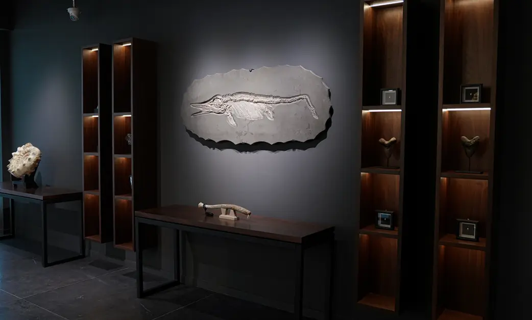 The Artefactum Gallery — unique finds with a rich history.