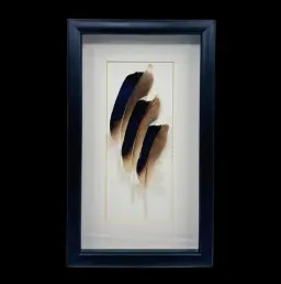 Mallard Drake Feathers in Wooden Frame – Tribute to Nature’s Elegance