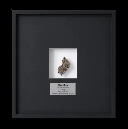 7,48 gr Omolon Pallasite meteorite with Widmanstätten pattern, 4 bln years old