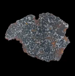 145 g Pallasite meteorite slice showcasing Widmanstätten pattern, 4 bln years old