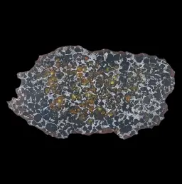 112 g Pallasite meteorite slice showcasing Widmanstätten pattern, 4 bln years old