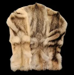 Grey Wolf Fur Chair Throw – Luxury Natural Décor