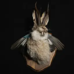Enigmatic Jackrabbit with Jay Wings, a Unique Hybrid Masterpiece