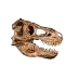 Artefacts