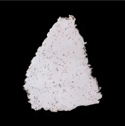 Dronino Meteorite