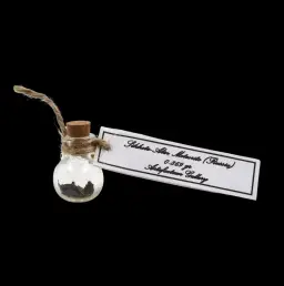 0.869 g Sikhote-Alin meteorite in sealed round bottle, Russia