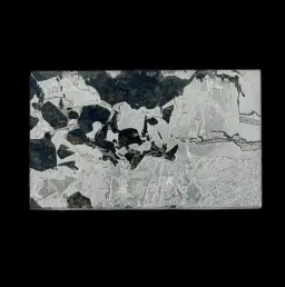 22.981 g Pallasite meteorite slice showcasing Widmanstätten pattern, 4 bln years old