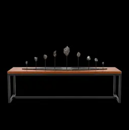 Monumental Composition of 9 Dronino Iron Meteorites - 11,444 g of Primordial Solar System Material