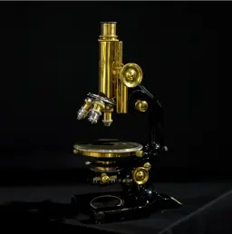 Microscope Vienna