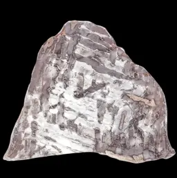 Pallasite Meteorite – A 55.73 g