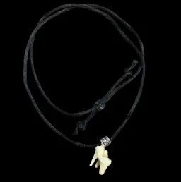 Authentic Wolf Molar Tooth Pendant on a Textile Cord – Origin: Russia, Grey Wolf