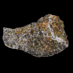 102 g Seymchan meteorite slice with Widmanstätten pattern, 4 bln years old, Russia