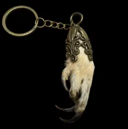 Mystic Guardian: Owl Paw Keychain – An Icon of Wisdom and Wild Beauty