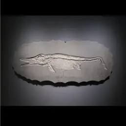 Skeleton of marine predator (Ichthyosaur), circa 178 mln years old, Germany, well preserved