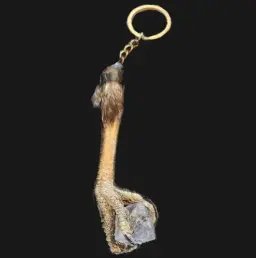 Buzzard Foot Keychain with Rock Crystal – A Symbol of Vision and Purity