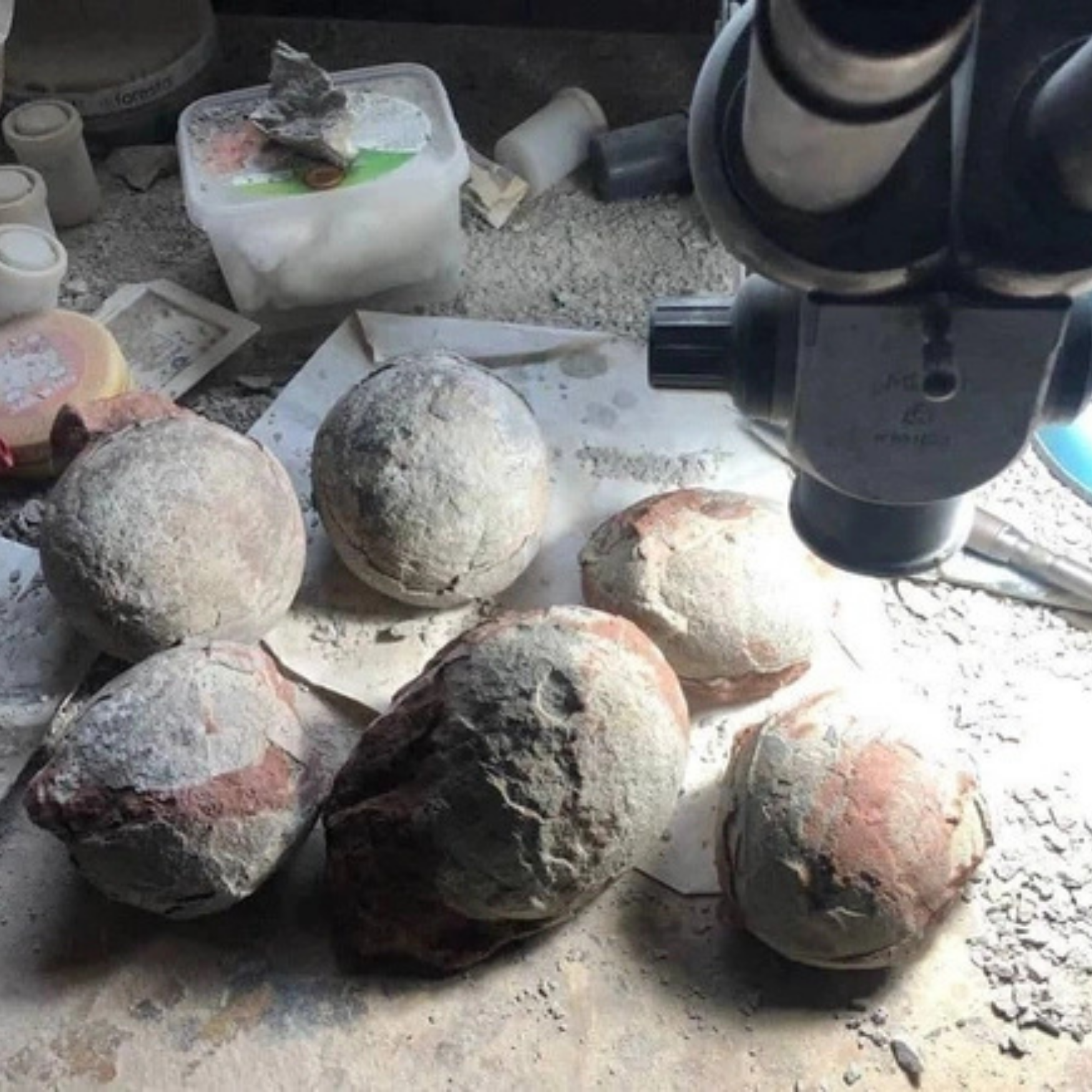Fossilized Hadrosaurus Dinosaur Egg, Painting made by Nikas Safronov - preview photo 5123
