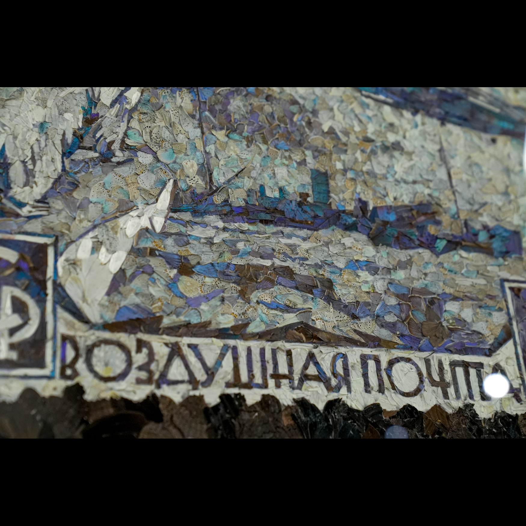 "1931 Airmail Arctic flight of the icebreaker Malygin to meet the airship Graf Zeppelin"  butterfly painting - preview photo 4123