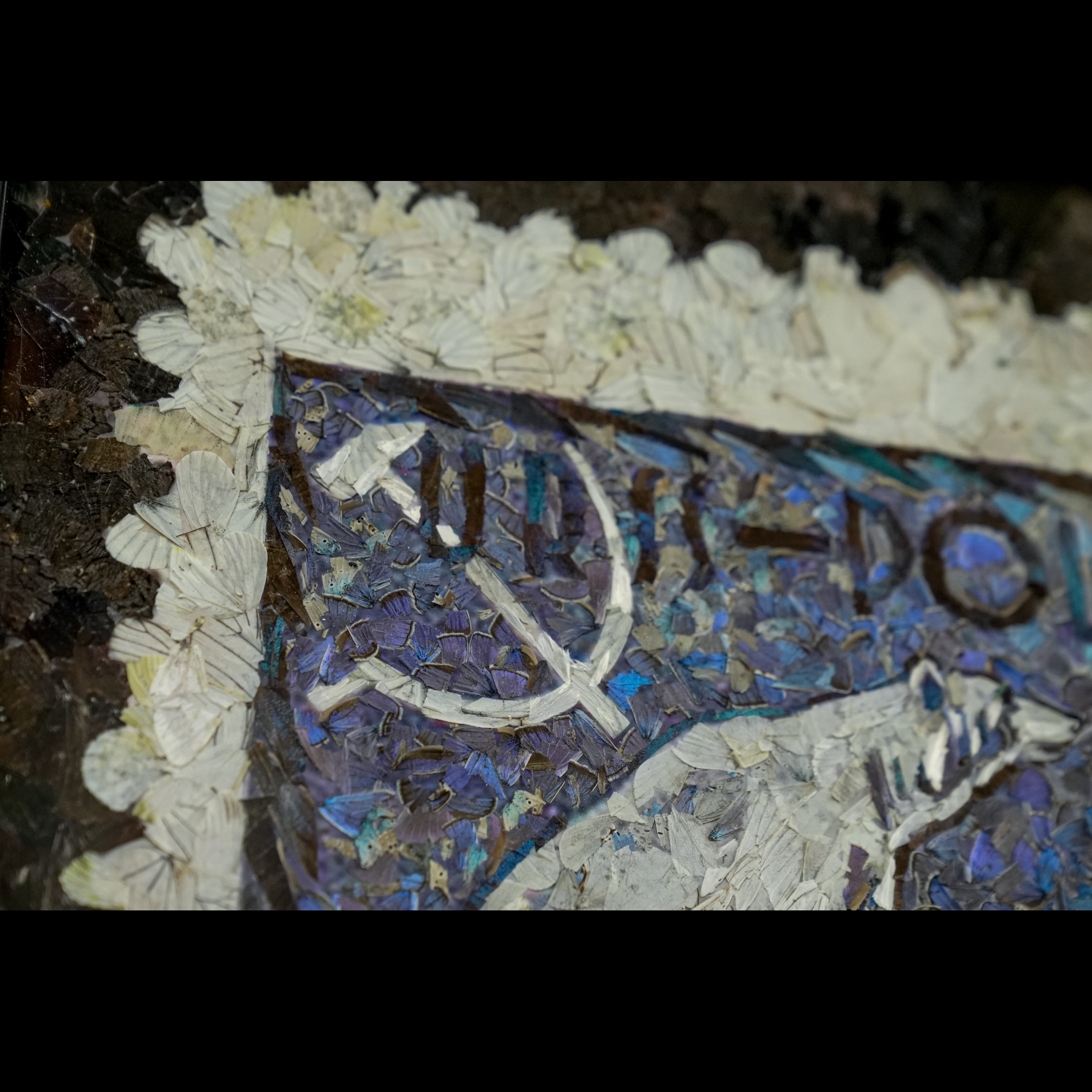 "1931 Airmail Arctic flight of the icebreaker Malygin to meet the airship Graf Zeppelin"  butterfly painting - preview photo 3123