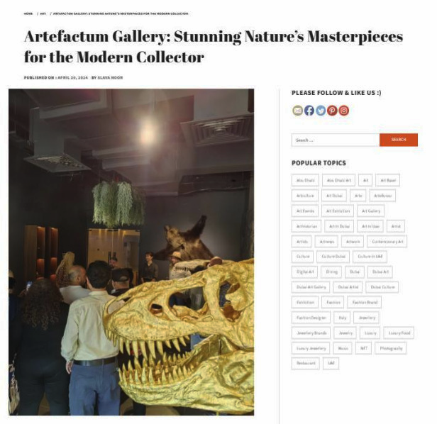 Artefactum Gallery: Stunning Nature’s Masterpieces for the Modern Collector