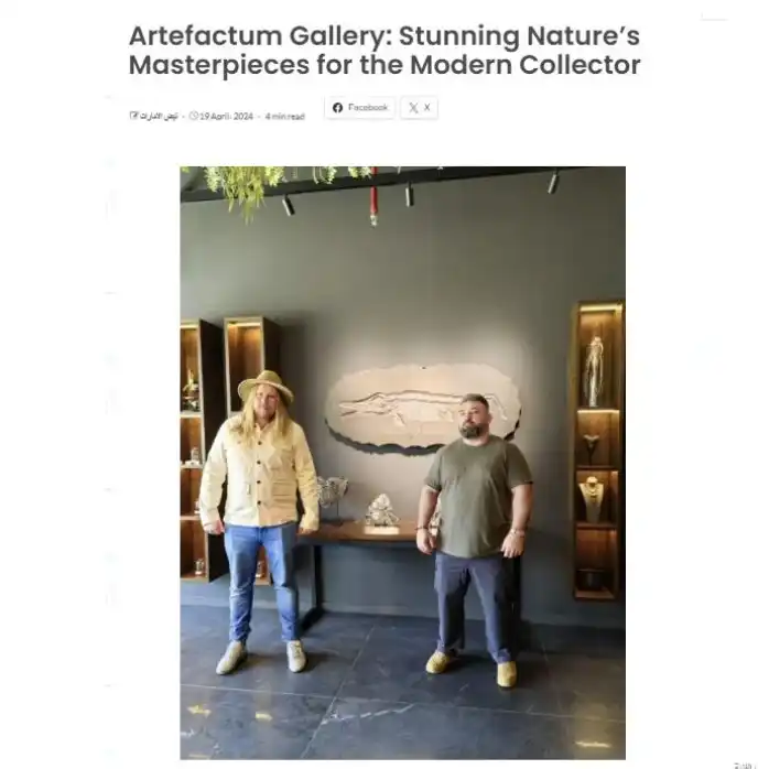 Artefactum Gallery: Stunning Nature’s Masterpieces for the Modern Collector