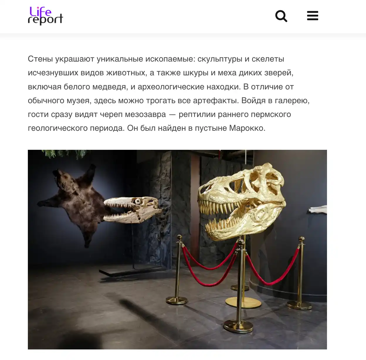 В Дубае обнаружены динозавры и метеориты