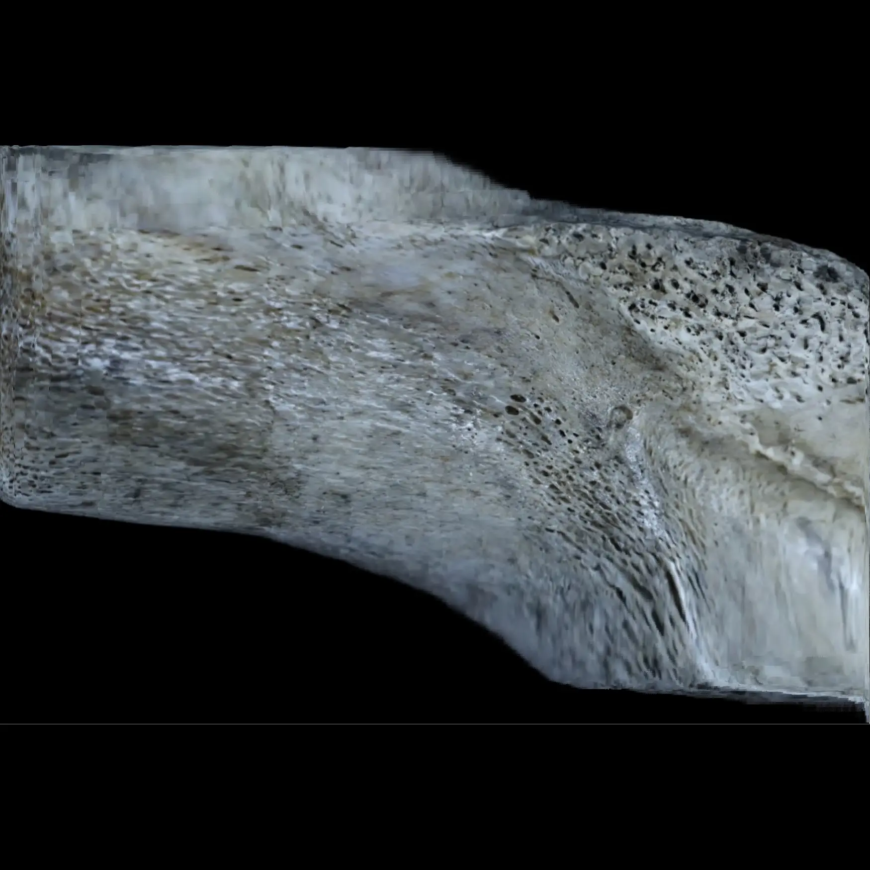 Rare Whale Vertebra with Traditional Northern Engravings – A Unique Cultural Artifact - preview photo 2123