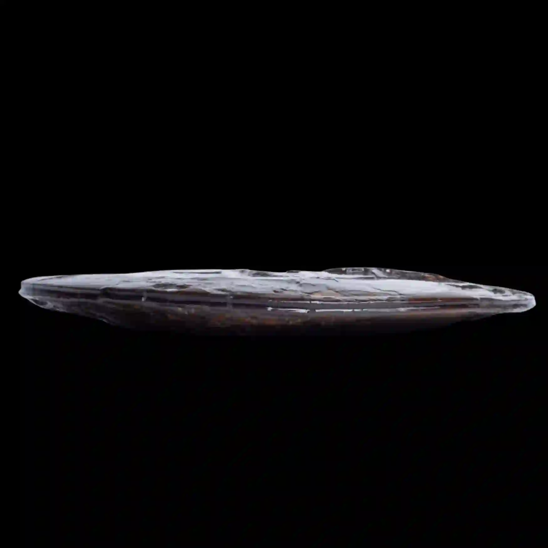Ammonite-25-2 Ammonite with Ammolite Layer – Monument from the Dawn of the Mesozoic 25 cm, Double-Sided - preview photo 3