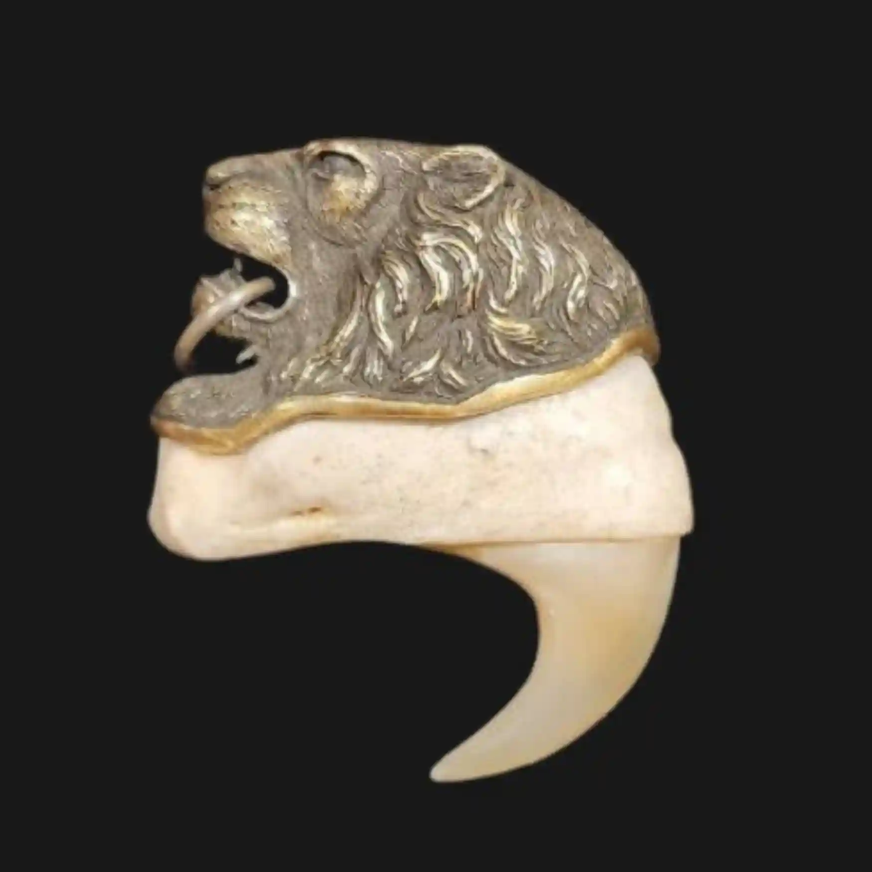 LionNL-02 Natural Lion Claw, Silver Necklace – Strength and Majesty in One Iconic Pendant - preview photo 1