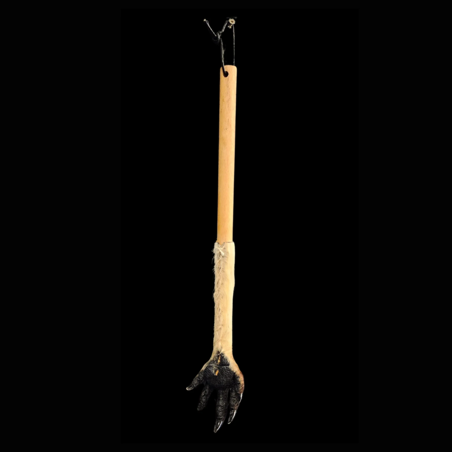 AF-001.2 Back Scratcher Made from Australian Kangaroo Paw – A Curiosity of Natural Craftsmanship - preview photo 2123