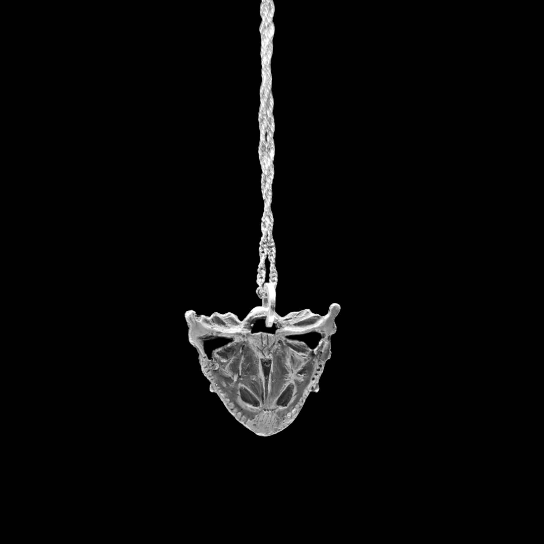 CS-1 (1) Koolasuchus cleelandi Pendant – A Silver Tribute to a Prehistoric Amphibian of the Cretaceous Age - preview photo 2123