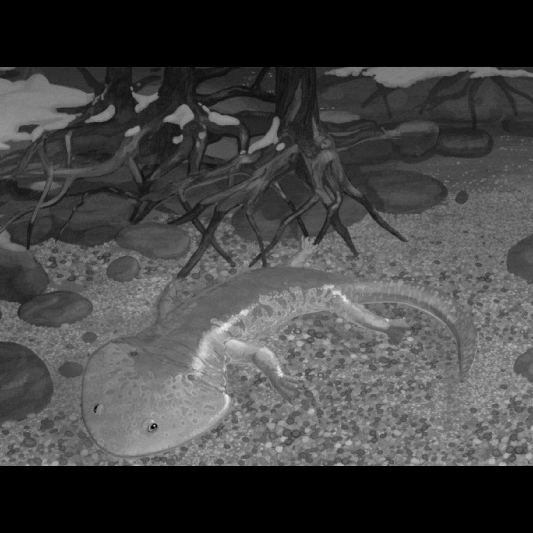 CT-104 Koolasuchus cleelandi Pendant – A Silver Tribute to a Prehistoric Amphibian of the Cretaceous Age - preview photo 3123