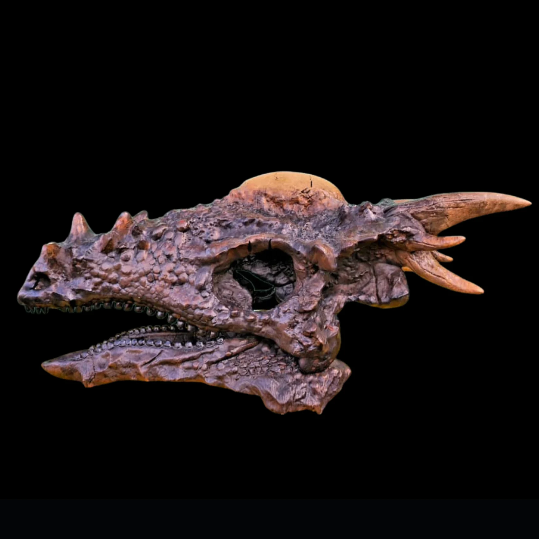 Cast of Stygimoloch skull, 3D printed