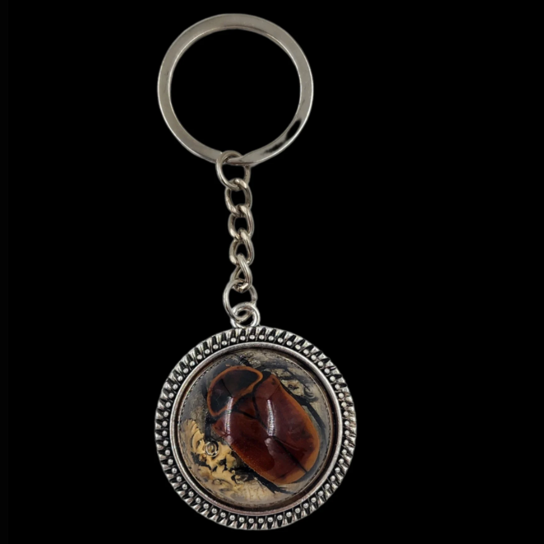 KB-03 Keychain Featuring a Real Burnt-Orange Flower Beetle - preview photo 1123