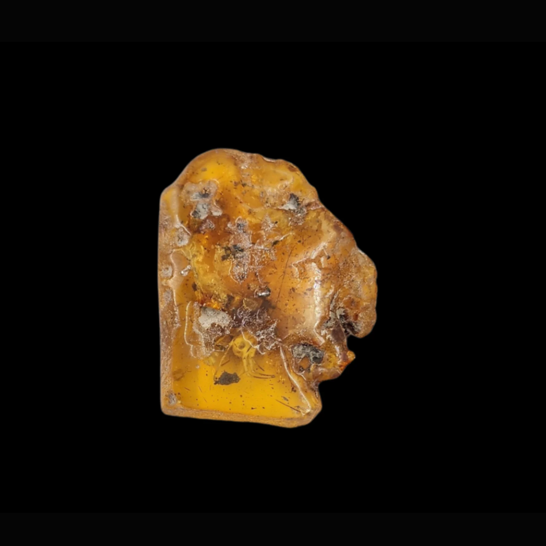 MF-1 Amber with Ancient Mosquito Inclusion — Baltic Region, Mid-Eocene - preview photo 2123