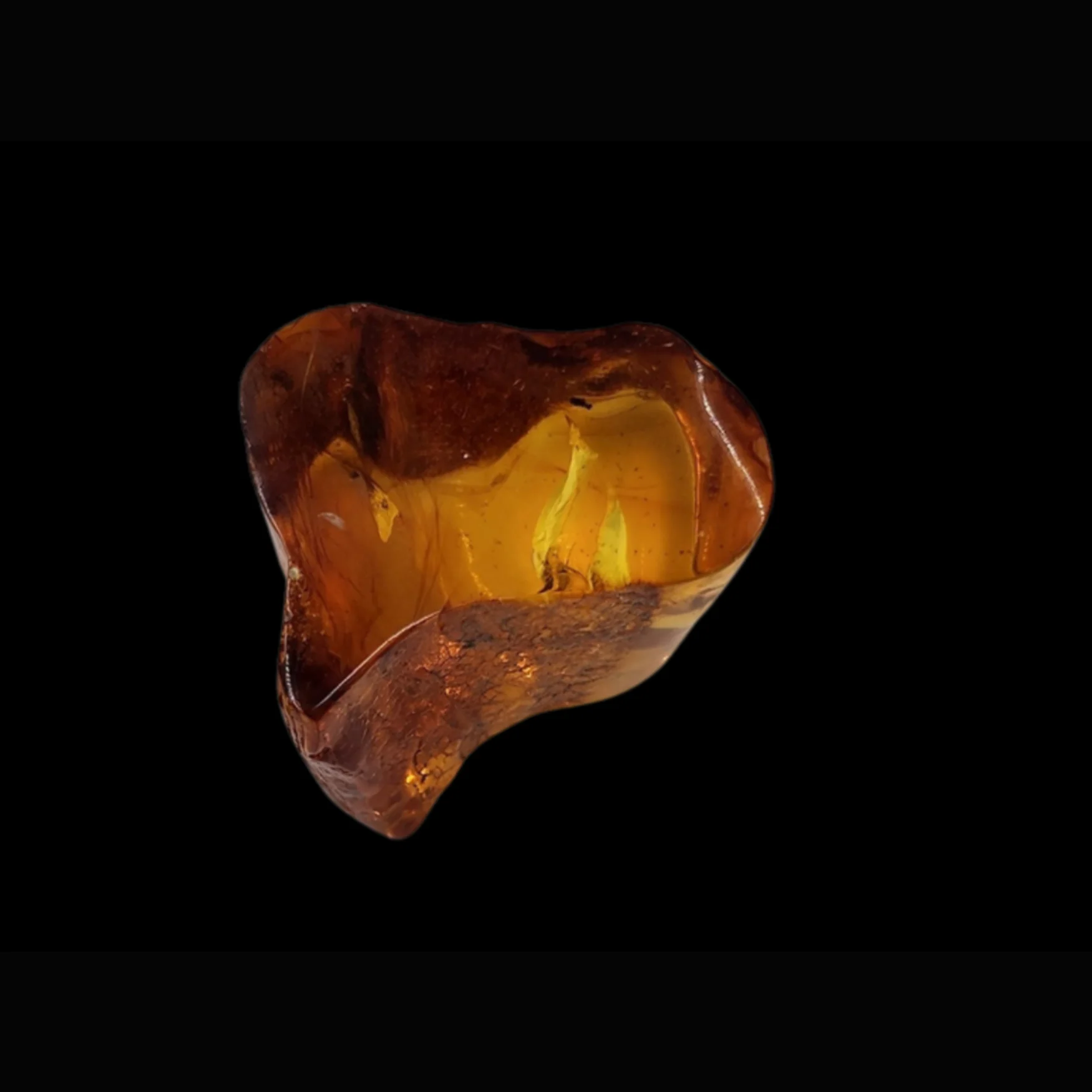 Piece of Amber with Mosquito Inclusion – A Moment Frozen in Time - preview photo 1123