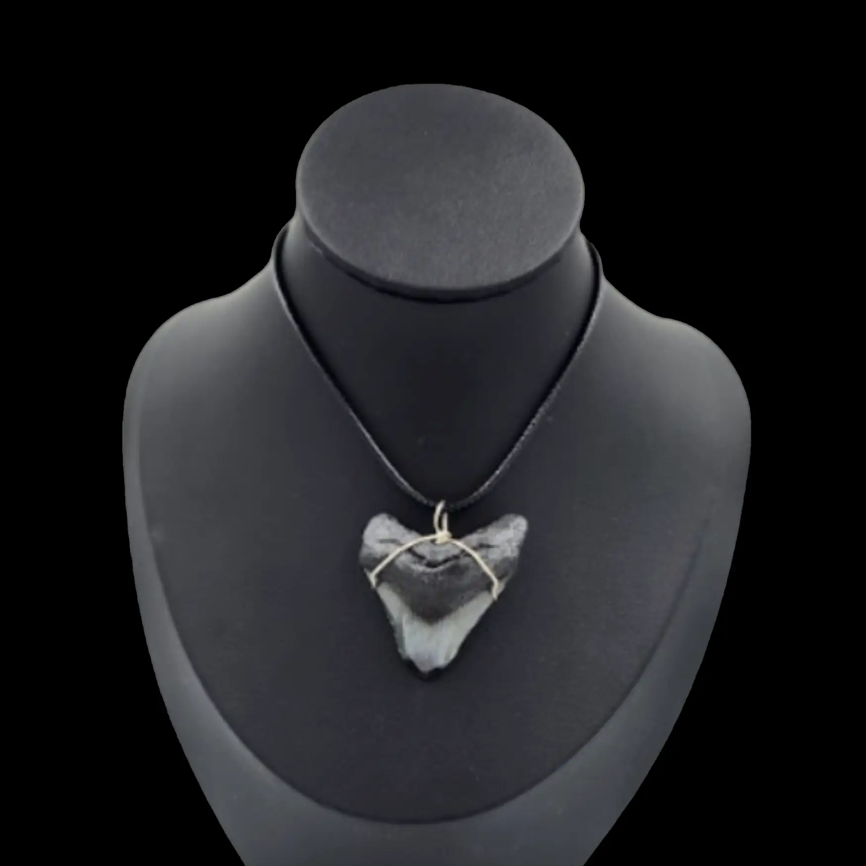 Megalodon Tooth- Pendant,  14gr