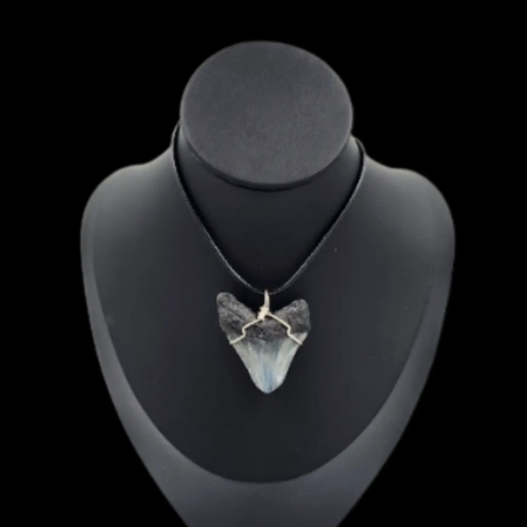 Megalodon Tooth- Pendant,  14gr - preview photo 2123