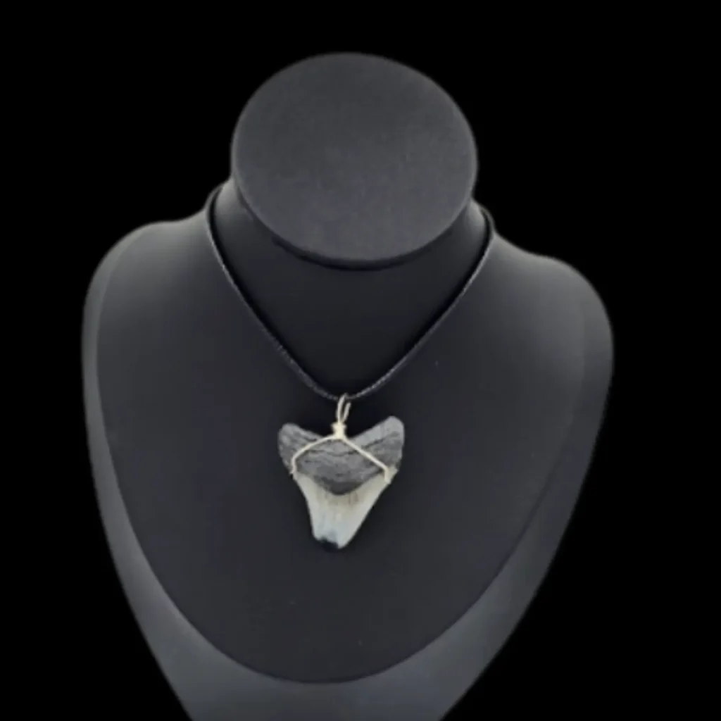 Megalodon Tooth  -Pendant, 9.7gr