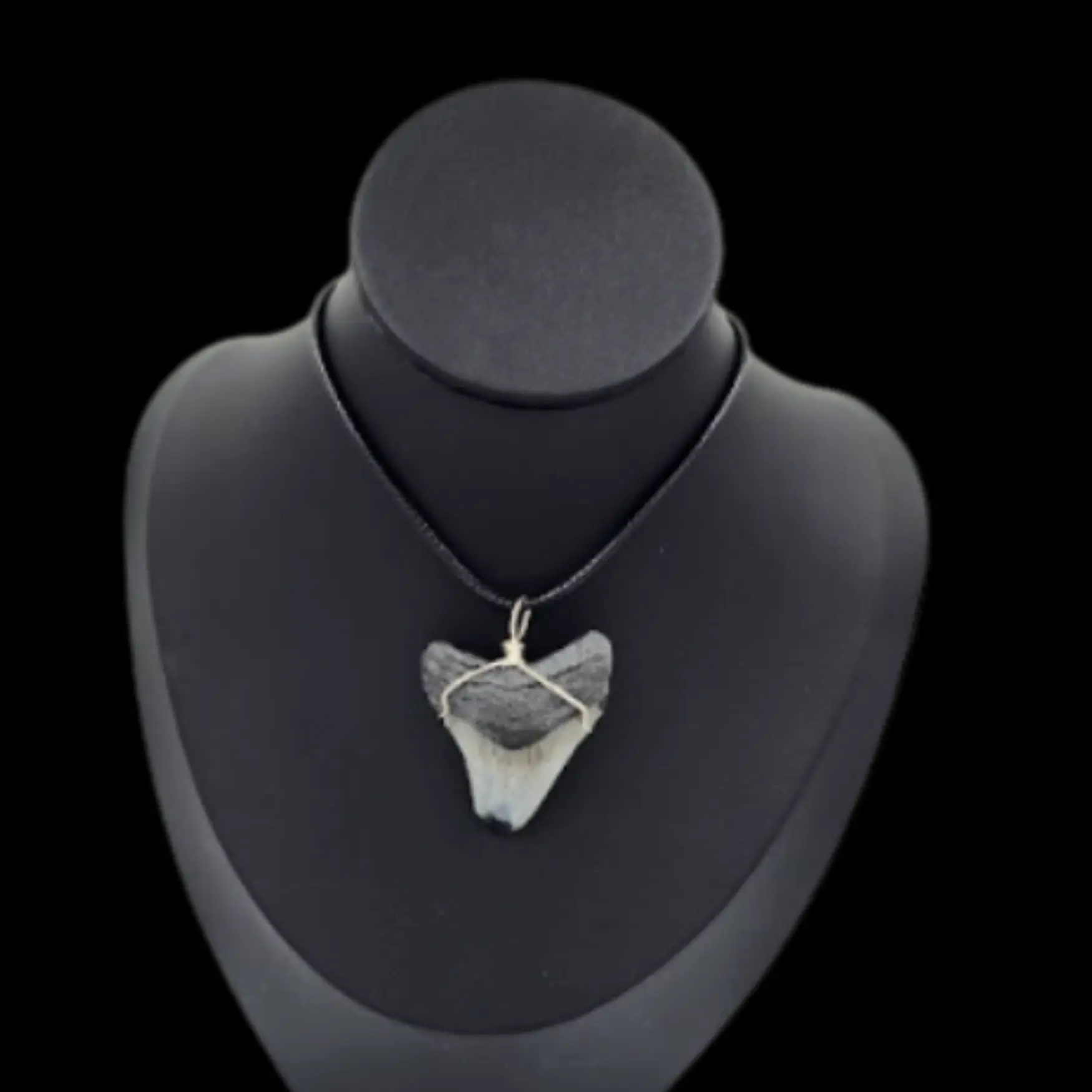 Megalodon Tooth  -Pendant, 9.7gr