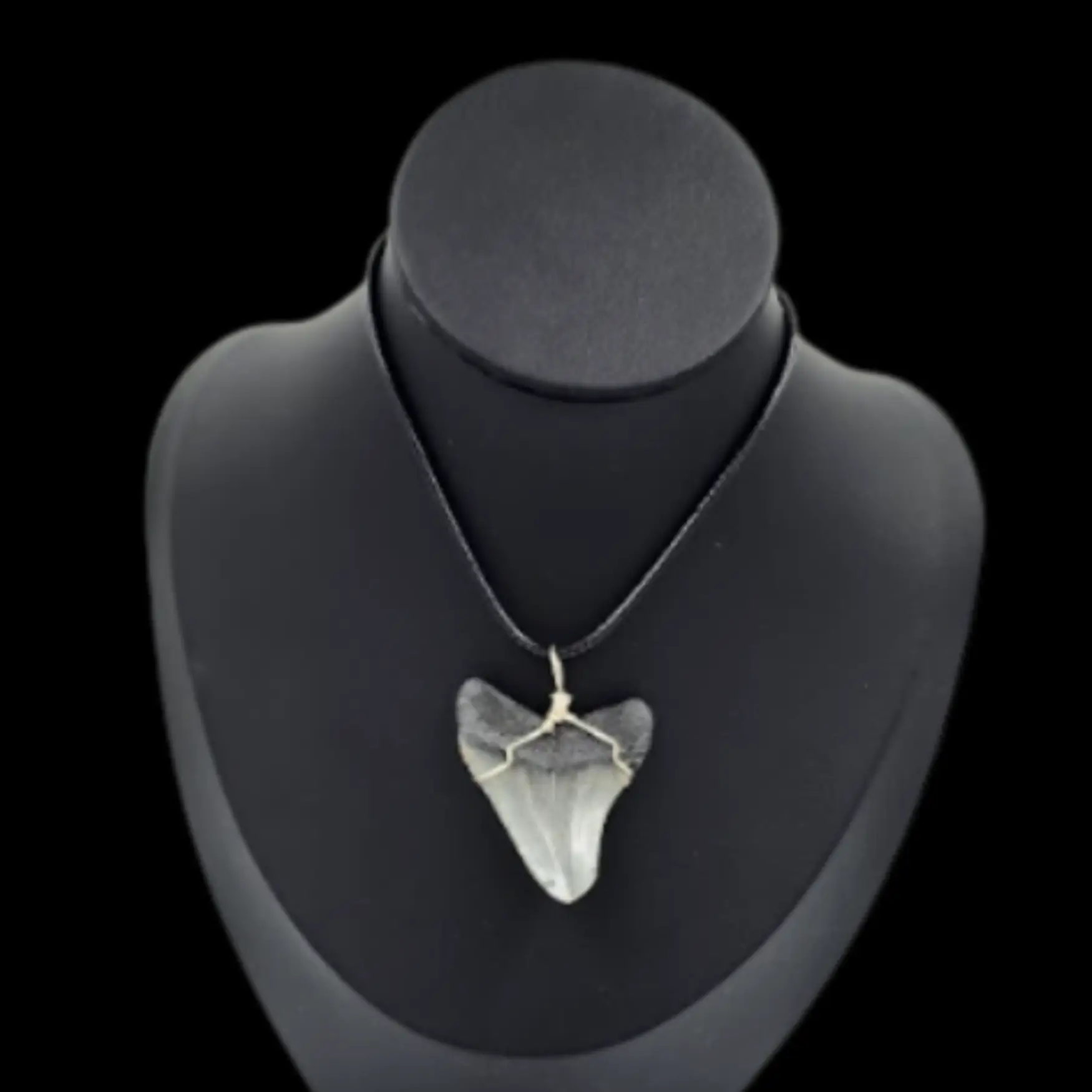 Megalodon Tooth  -Pendant, 9.7gr - preview photo 2123