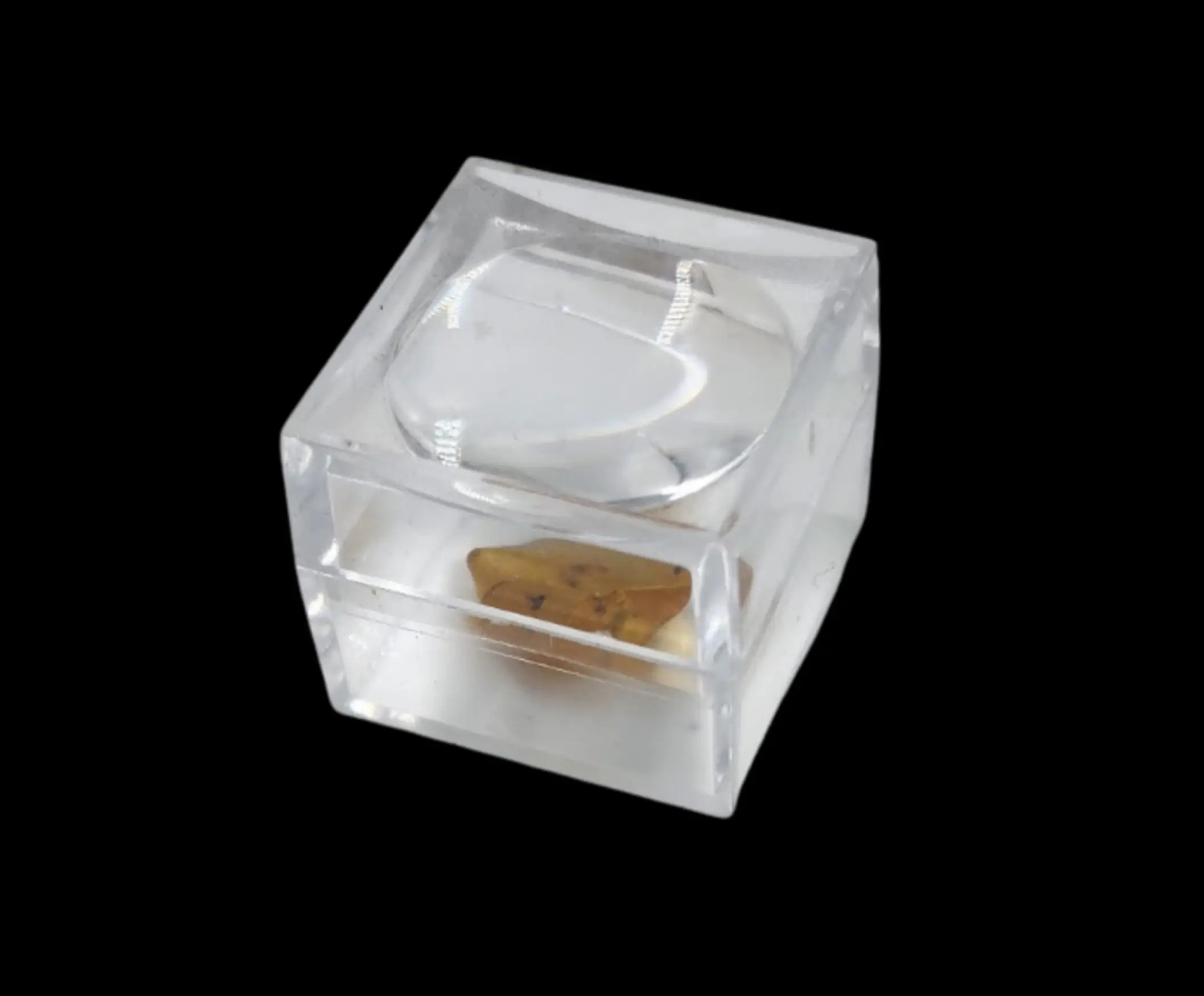 Amber with Prehistoric Mosquito - preview photo 3123