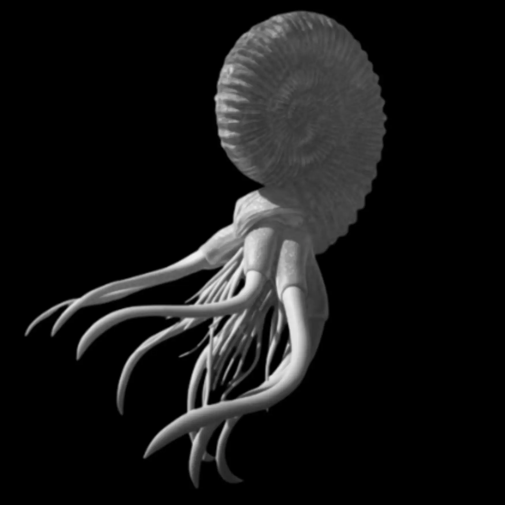 Ammonite Speetoniceras versicolor – A Multicolored Masterpiece of the Early Jurassic Sea - preview photo 2123