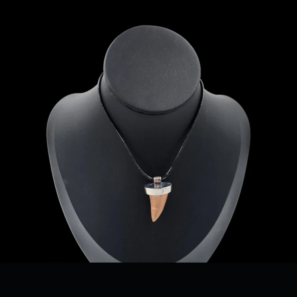 Mosasaur Tooth – 7.9 gr, Height 2.1 cm x 1.6 cm