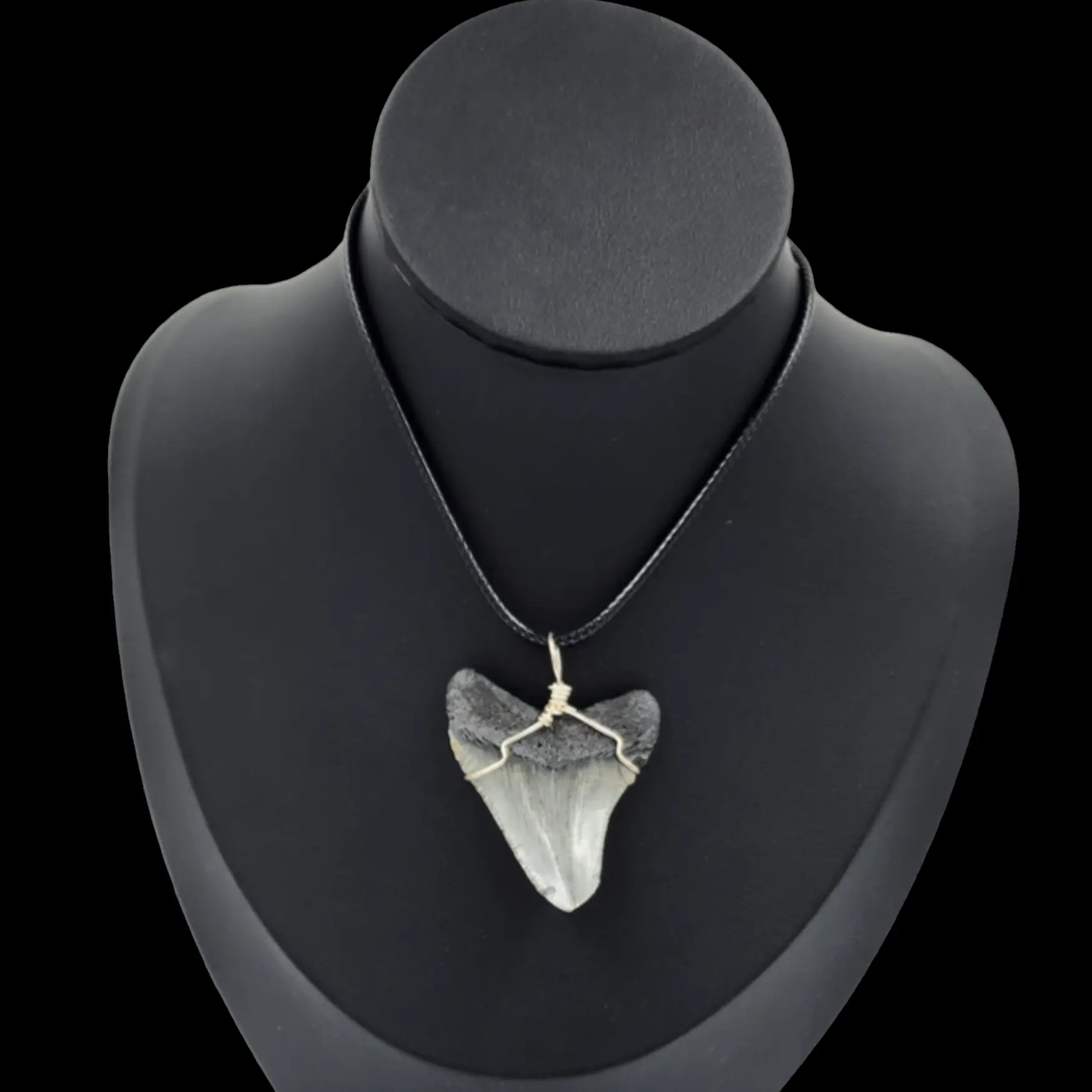 Megalodon Tooth  -Pendant, 9.7gr - preview photo 2123