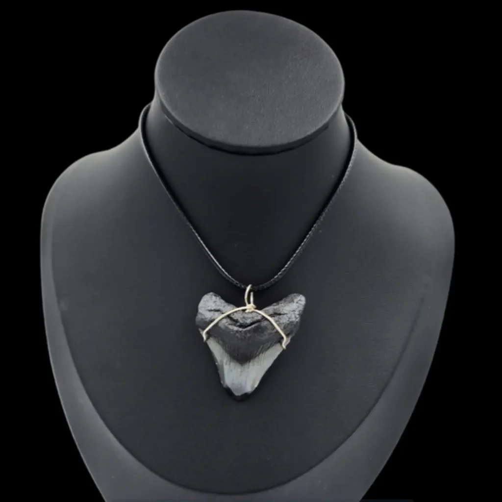 Megalodon Tooth- Pendant,  14gr