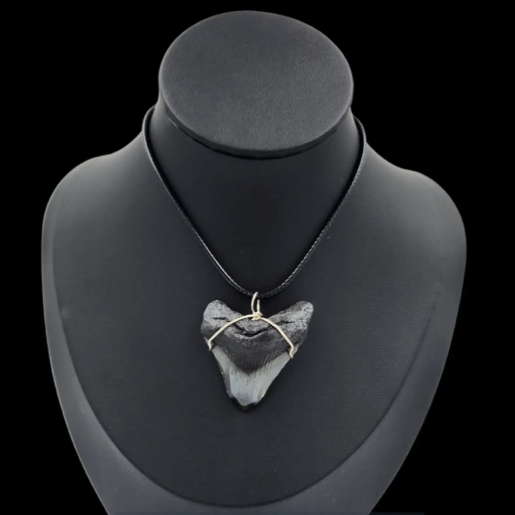 Megalodon Tooth- Pendant,  14gr - preview photo 1123