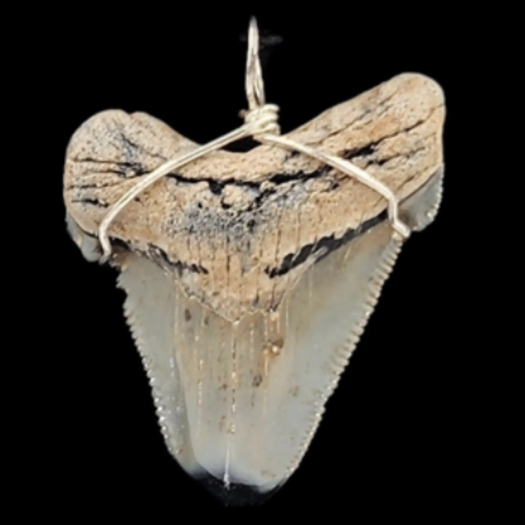 Megalodon Tooth, Pendant, 9gr - preview photo 2123