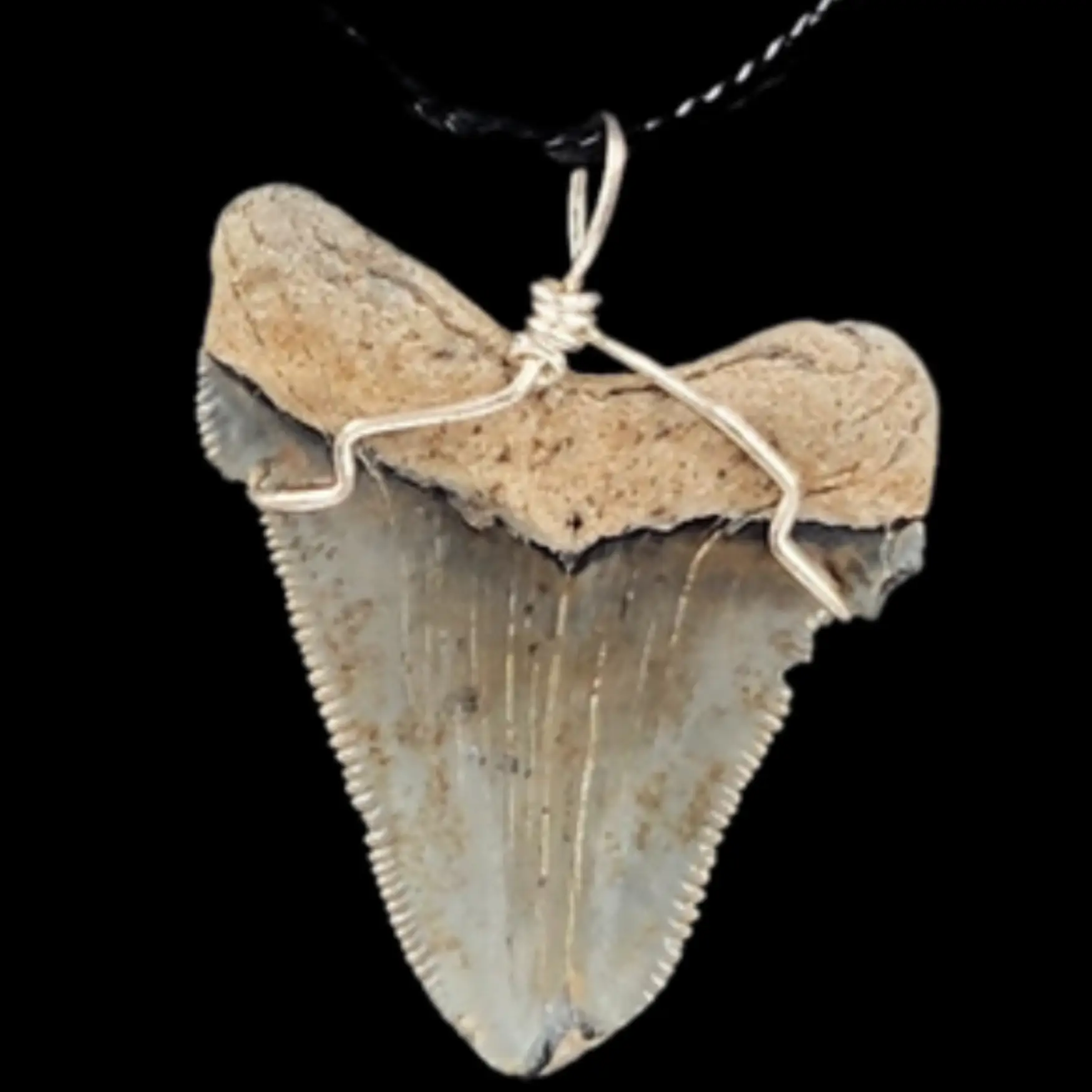 Megalodon Tooth, Pendant, 9gr - preview photo 1123