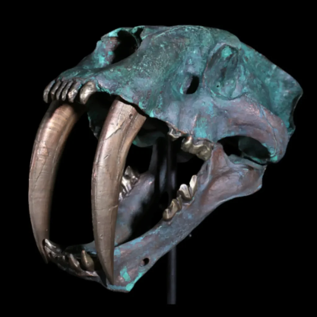 Bronze sculpture of the saber-toothed cat