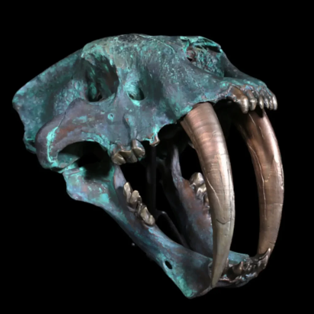 Bronze sculpture of the saber-toothed cat